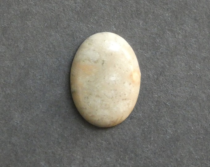 25x18mm Natural Fossil Coral Cabochon, Oval Cabochon, Natural Gemstone, Polished, Natural Stone, Gemstone Cabochon, One of a Kind, Unique