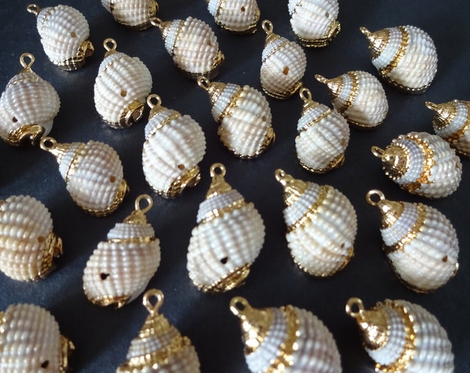 20-29mm Drilled Natural Spiral Seashell Pendants With Golden Iron, Electroplated Shell Charms, White & Gold, Shells With Loops