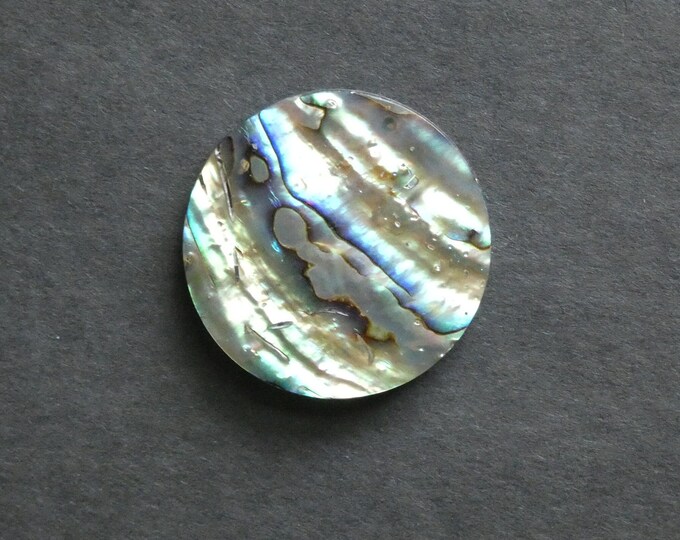 40x6mm Natural Abalone and Paua Shell Cabochon, Freshwater Shell Cabochon, Large Flat Round Cab, One of a Kind, Iridescent Blue and Green