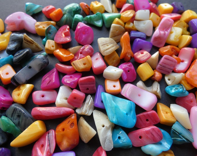 4-17mm Natural Shell Beads, Dyed, 8-17x5-7x4-6mm, Mixed Color Drilled Shells, Shell Pieces, Seashells, Natural Shell, Colored Beach Shells