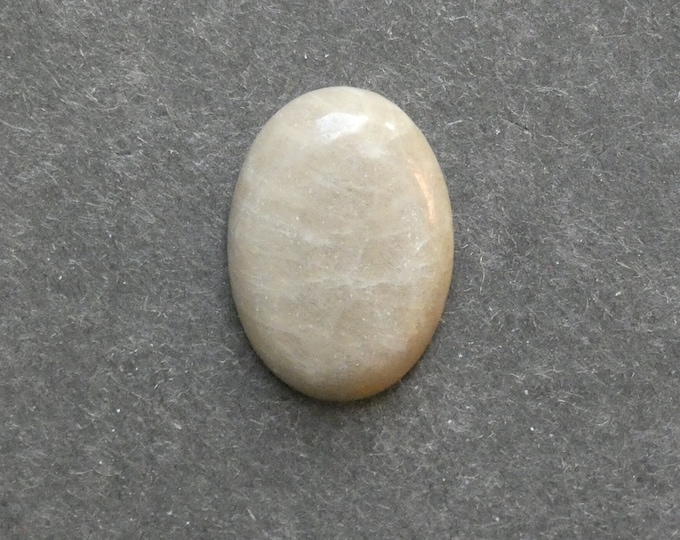 25x18mm Natural Fossil Coral Cabochon, Oval Cabochon, Natural Gemstone, Polished, Natural Stone, Gemstone Cabochon, One of a Kind, Unique