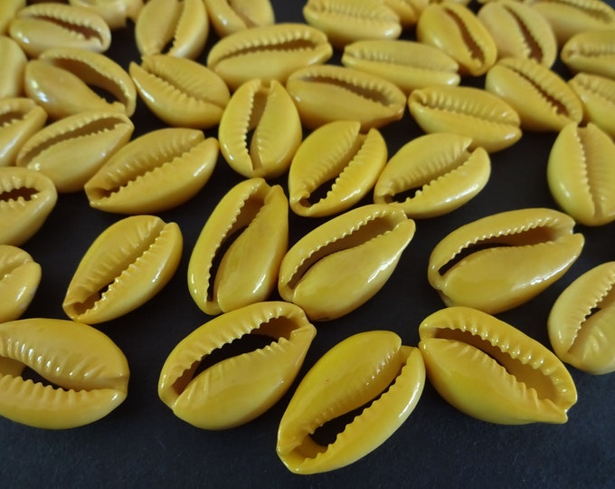 20-25mm Painted Natural Cowrie Shell Beads, Undrilled Spiral Shell, Yellow Color, Natural Shell, Cowries, Beach Shells, Painted Shell