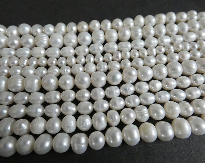 5 PACK Lot of 15-16 Inch 4-9mm Cultured Freshwater Pearl Bead Strand, Bleached, About 62 Potato Beads, White Pearl, Drilled, Polished, Value