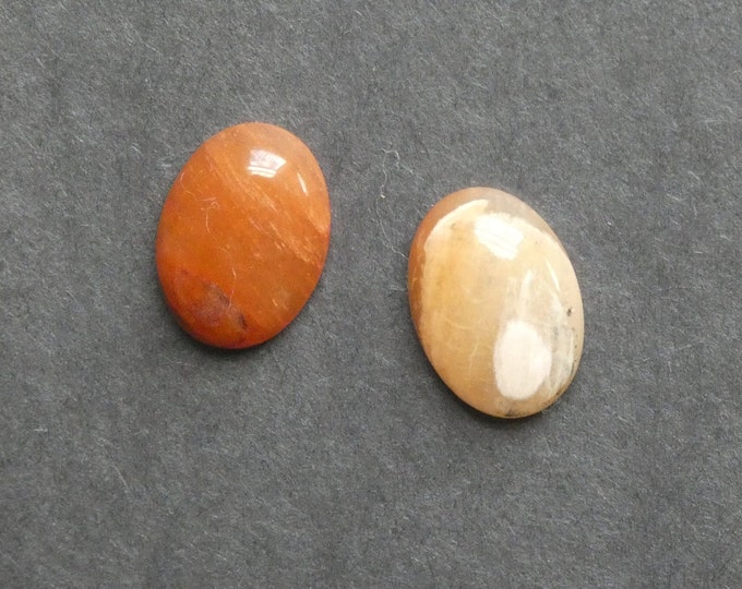 2PK 20x15mm Natural Petrified Wood Cabochons, One of a Kind, Only One Available, Oval, Unique Petrified Wood Cabochon, Natural Stone Set