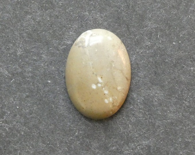 25x18mm Natural Fossil Coral Cabochon, Oval Cabochon, Natural Gemstone, Polished, Natural Stone, Gemstone Cabochon, One of a Kind, Unique