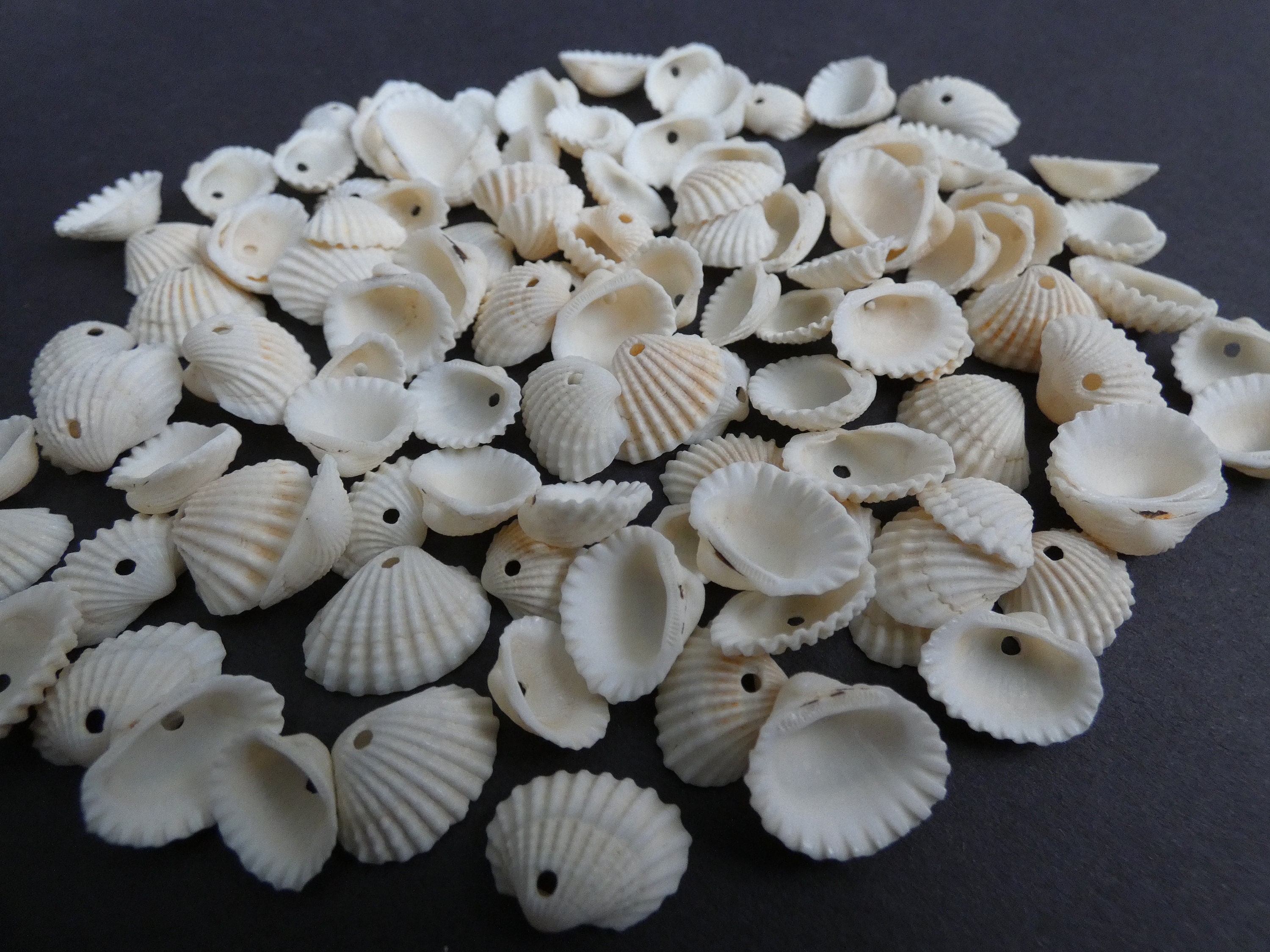 1pcs Natural Sea Shell Bead White Yellow Black Carving Butterfly