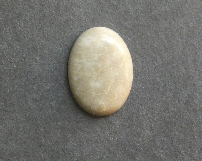 25x18mm Natural Fossil Coral Cabochon, Oval Cabochon, Natural Gemstone, Polished, Natural Stone, Gemstone Cabochon, One of a Kind, Unique