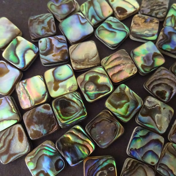 10x10mm Natural Abalone & Paua Shell Cabochons, Square Freshwater Seashell Cabs, Green and Blue, Shell Cab, Freshwater Shell Jewelry