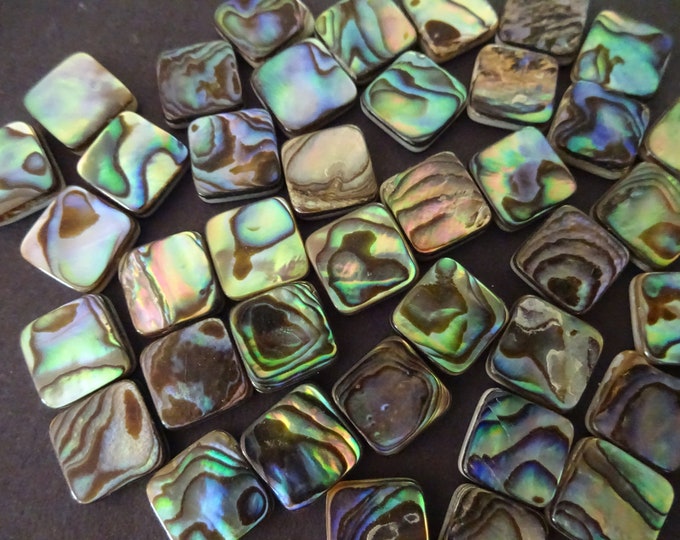 10x10mm Natural Abalone & Paua Shell Cabochons, Square Freshwater Seashell Cabs, Green and Blue, Shell Cab, Freshwater Shell Jewelry