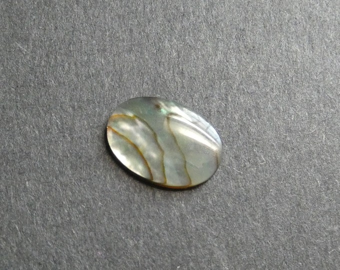 18x13mm Natural Abalone Shell Cabochons, Coated Seashell Cabs, Green & Iridescent, One Of A Kind, As Seen In Image, Only One Available