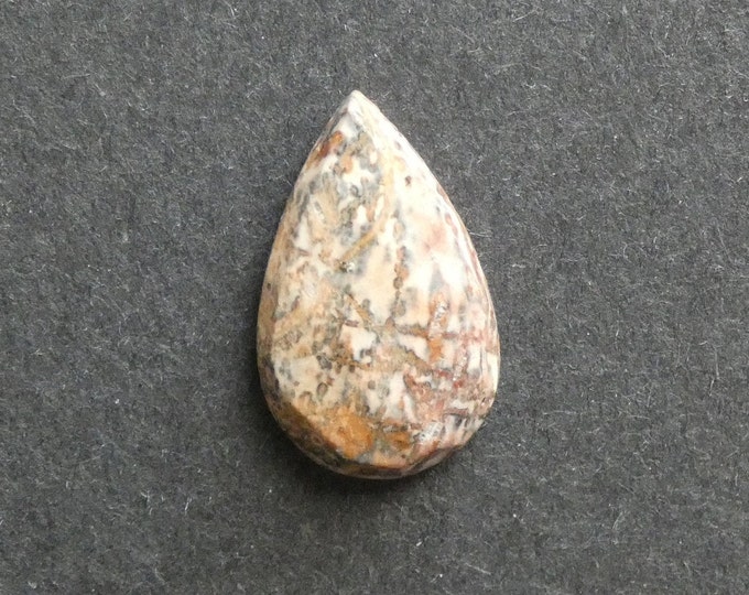 26x17mm Natural Leopard Skin Jasper Cabochon, Teardrop, Brown, One Of A Kind, As Seen In Image, Only One Available, Leopard Skin Jasper Cab