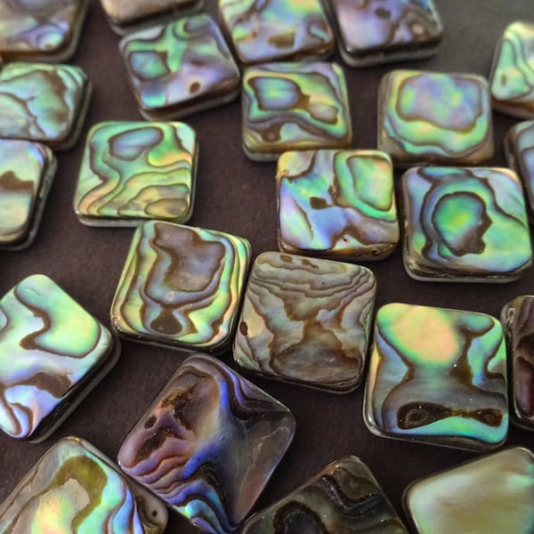 12x12mm Natural Abalone & Paua Shell Cabochons, Square Freshwater Seashell Cabs, Green and Blue, Shell Cab, Freshwater Shell Jewelry