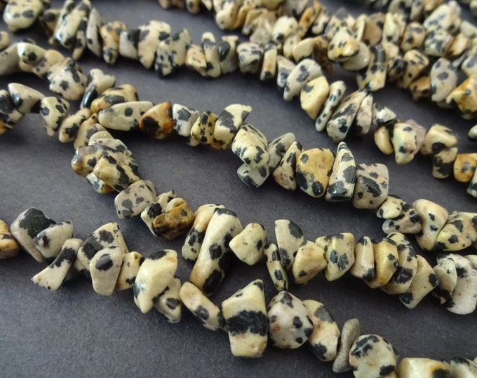 33 Inch Strand Natural Dalmatian Jasper Chip Bead Strand, 5-8mm Jasper Chips, White and Black Stone Strand, Beige and Black, Spotted Stones