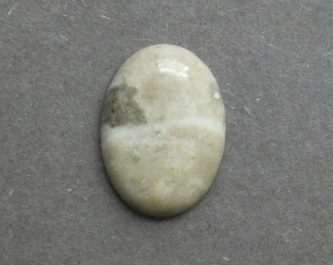 25x18mm Natural Fossil Coral Cabochon, Oval Cabochon, Natural Gemstone, Polished, Natural Stone, Gemstone Cabochon, One of a Kind, Unique