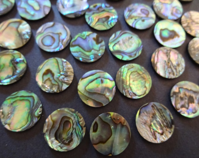 15x2mm Natural Abalone Shell Cabochons, Paua Seashell Cabs, Green Iridescent, Round Shell Cab, Beach Freshwater Shell Jewelry