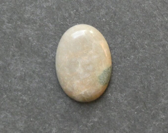 25x18mm Natural Fossil Coral Cabochon, Oval Cabochon, Natural Gemstone, Polished, Natural Stone, Gemstone Cabochon, One of a Kind, Unique