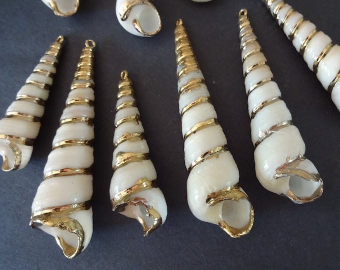 38-76mm Natural Spiral Shell Pendants With Gold Color Swirls, Electroplated Seashell Charms, White & Shiny Gold, Seashells With Brass Loops