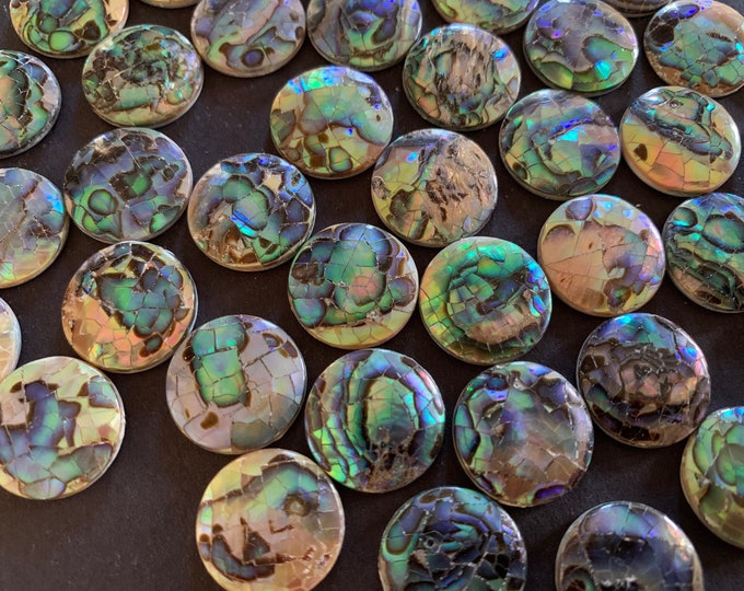 16x3mm Natural Abalone Shell Cabochons, Coated Paua Seashell Cabs, Green Iridescent,  Round Shell Cab, Beachy Freshwater Shell Jewelry