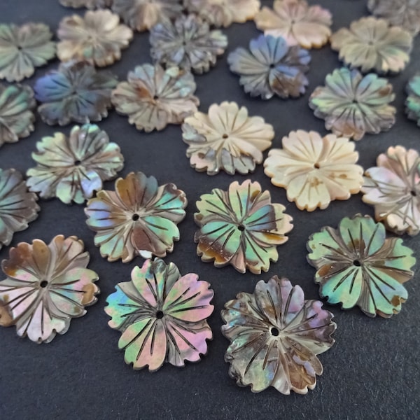 16mm Natural Paua and Abalone Shell Flower Beads, Real Shell, Drilled Seashells, Chips, Nautical, Beach Jewelry, 1mm Hole, Shell Bead Lot