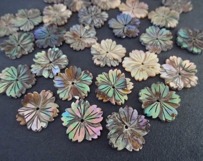 16mm Natural Paua and Abalone Shell Flower Beads, Real Shell, Drilled Seashells, Chips, Nautical, Beach Jewelry, 1mm Hole, Shell Bead Lot