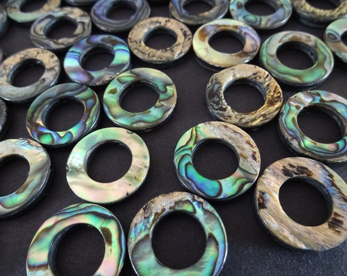 18mm Natural Abalone and Paua Shell Donut Pendant, 1mm Drilled Hole, Bead Frames, Rings, Large Charms, Gemstone Jewelry, Shell Frame Bead