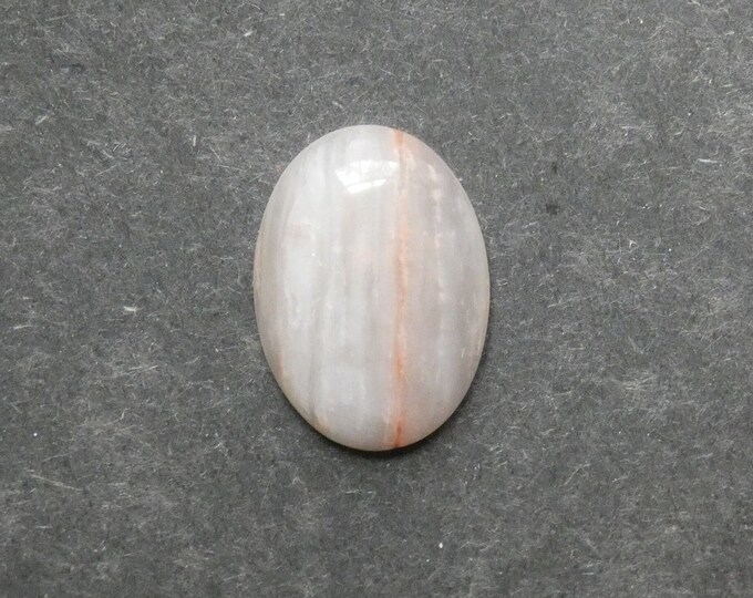 25x18mm Natural Petrified Wood Cabochon, One of a Kind, Large Oval, Only One Available, Unique Petrified Wood Cabochon, Natural Stone