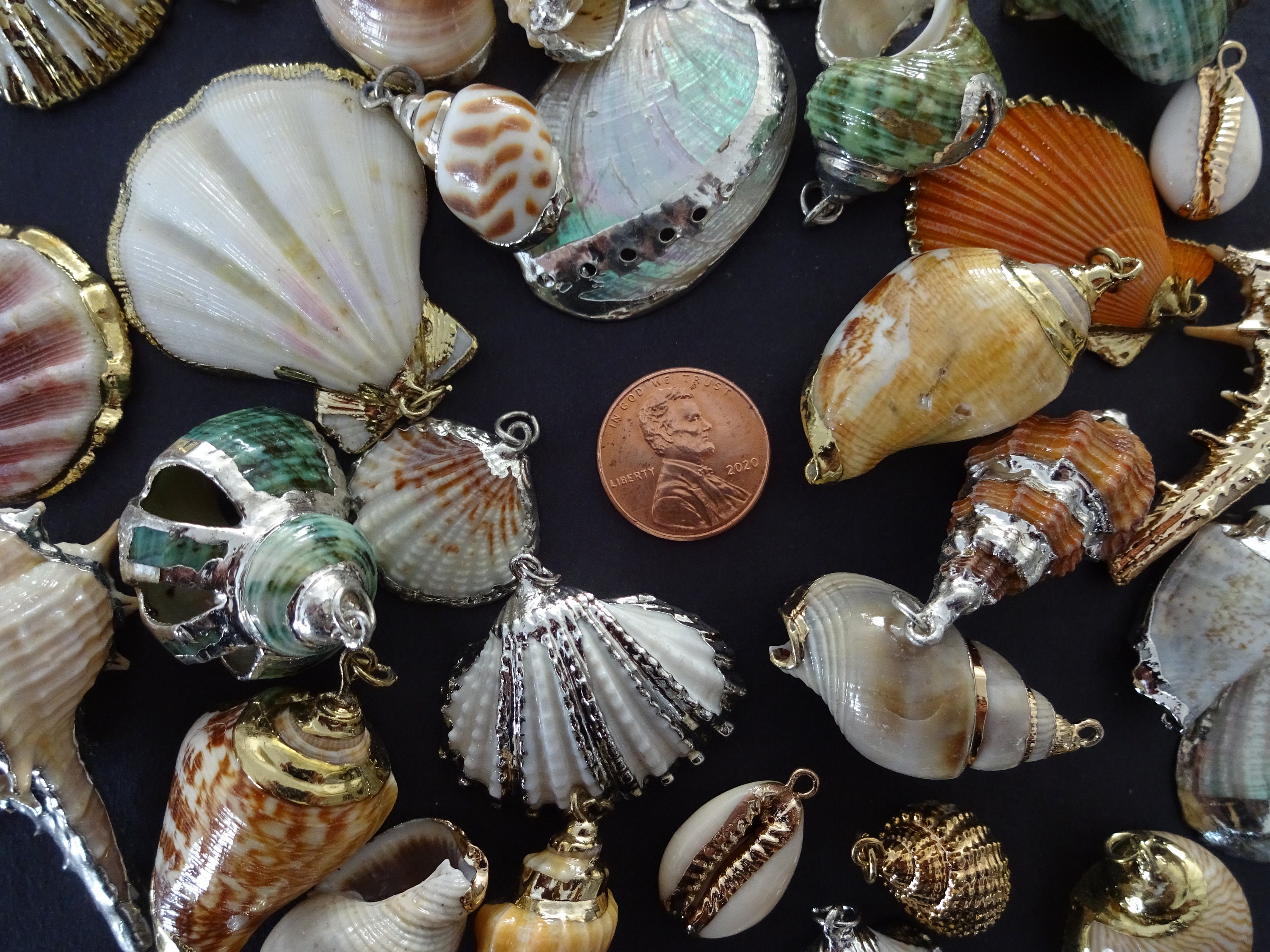 SET OF 25 Mixed Natural Shell Pendants, 2386mm, Electroplated Metallic
