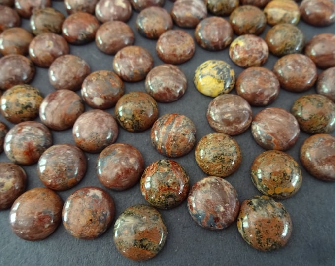 12x5mm Natural Leopard Skin Jasper Gemstone Cabochon, Round Cabochon, Polished Gem, Button Cab, Natural Gemstone, Polished, Jasper Cab