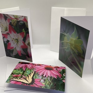 Ensemble de cartes photo avec fleurs - Cartes de correspondance vierges