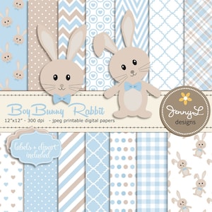 Documenti digitali Bunny Rabbit, Boy Bunny Clipart SET, Bunny Baptism, Compleanno, Baby Shower, Pasqua, Tema blu e marrone, Carta digitale animale,