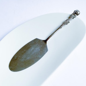 Peut inclure: Une pelle à gâteau argentée avec un motif de rose sur la poignée. La pelle a une longue et fine poignée et une large lame ovale. Elle repose sur une assiette blanche ovale. La longueur est d'environ 25 cm.