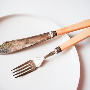 Antique Silver tone Metal dinner fork and knife with plastic handle, ivory imitation EP NS