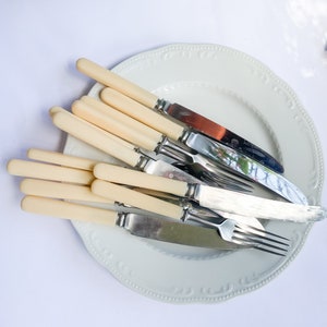 May include: A white plate with a decorative border holds a set of ivory-handled silverware. The silverware includes knives and forks with silver blades.