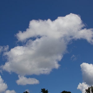 What&#39;s In a Cloud