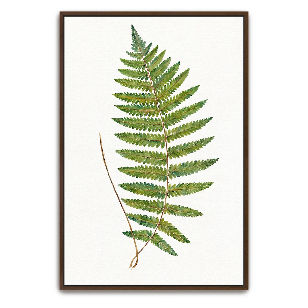 Framed Botanical Fern Watercolor Wall Art main image 1