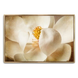 Magnolia Wall Art Printable Neutral Wall Decor Flower Print Download Vintage Warm Retro Floral Fine Art Photography for Living Room Bedroom