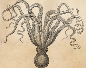Vintage Octopus Illustration Printable 1800 Antique Nautical Print Instant Download Digital Image Clip Art Retro Black & White Drawing