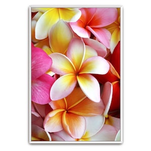 Printable Wall Art Tropical Colorful – Hawaiian White and Pink Plumeria Frangipani Digital Print for Coastal, Hawaii, or Beach Home Decor