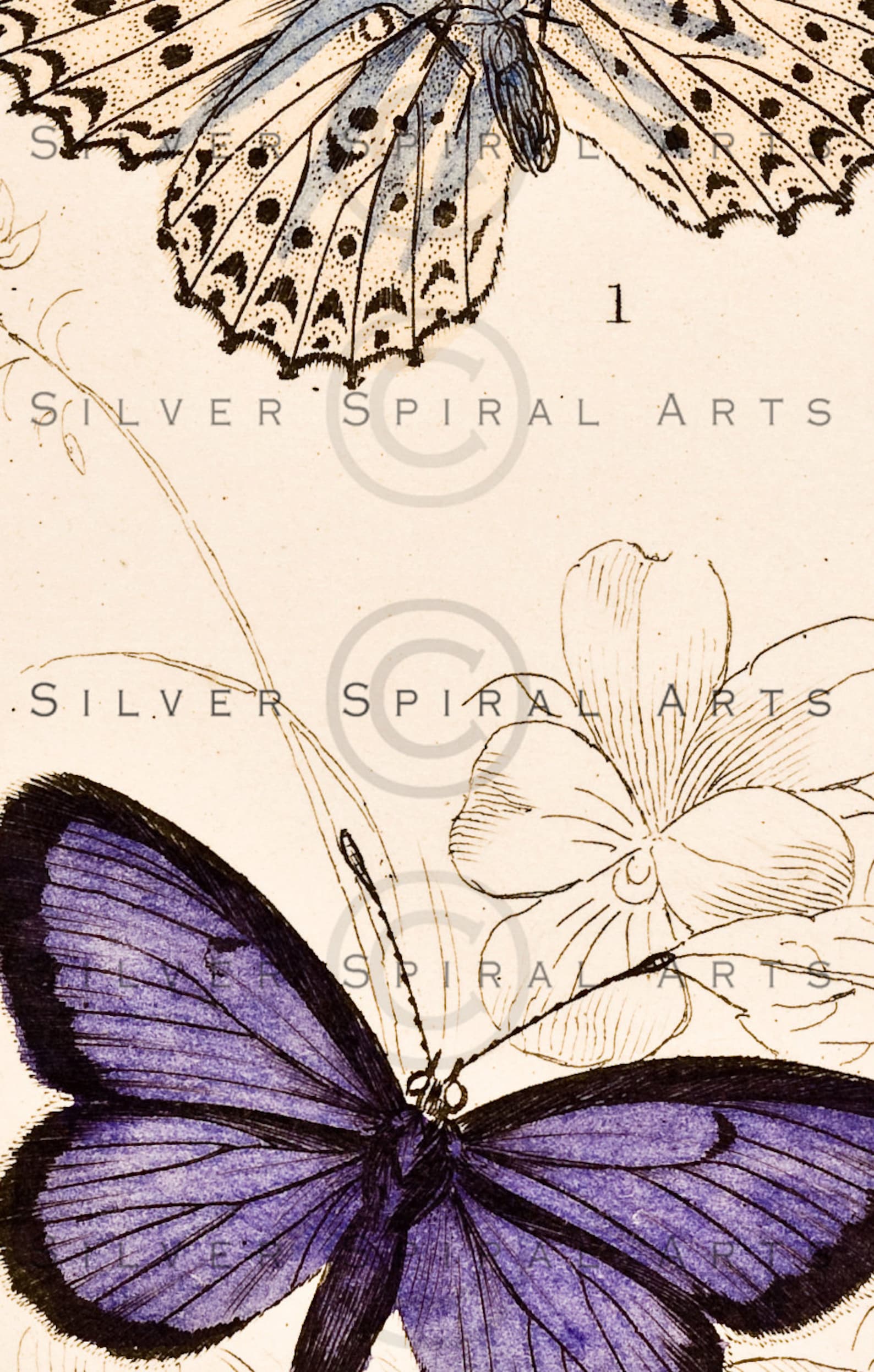 Vintage BUTTERFLY Printable Digital Download Antique - Etsy