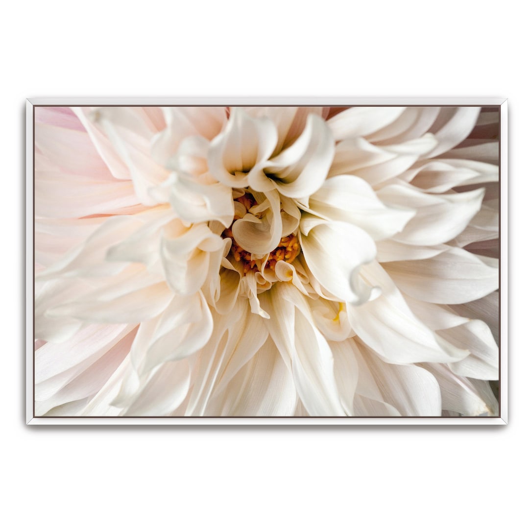 Dahlia Flower Wall Art Printable Digital Download, Botanical Print ...