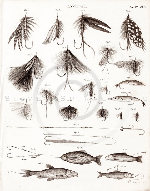 Fly Fishing Lures Artwork Illustrated Art Postcards, Fish Bait Art