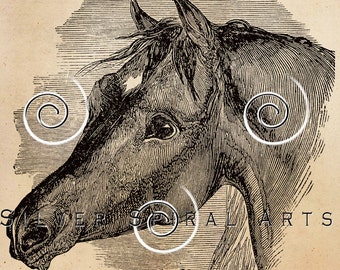 Vintage Horse Illustration Printable Horses 1800s Antique Equine Print Instant Download Digital Image Clip Art Retro Black & White Drawing