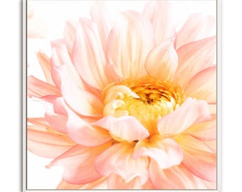 Rosa und gelbe Blume Fotografie druckbare botanische extra große Wandkunst, digitaler Download Dahlie Blumenwanddekor, Blumendruckplakat