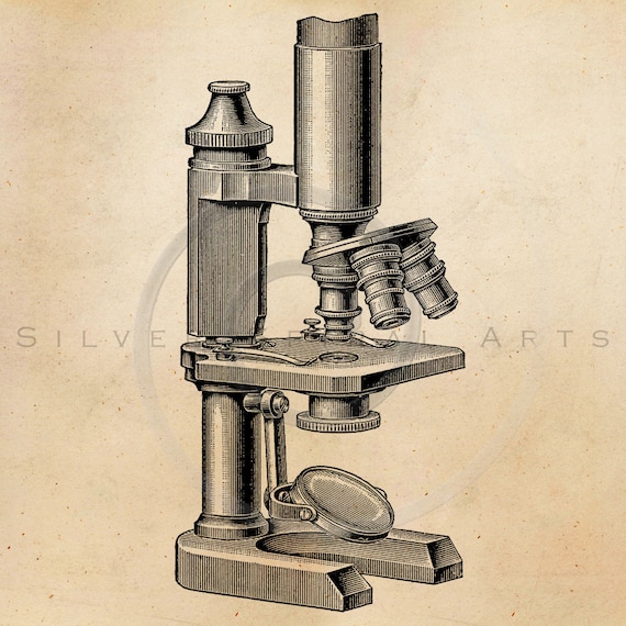 Vintage Scientific Microscope Illustration Printable 1800s Etsy