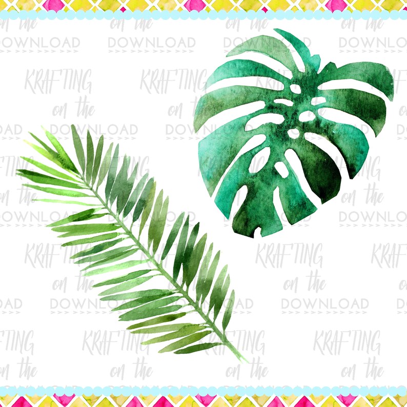 May include: Two watercolour illustrations of tropical leaves. A large green monstera leaf and a smaller green palm frond.