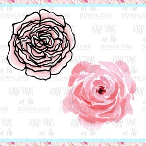 May include: Two pink roses, one with a black outline and a watercolor effect, the other with a more stylized, detailed outline.