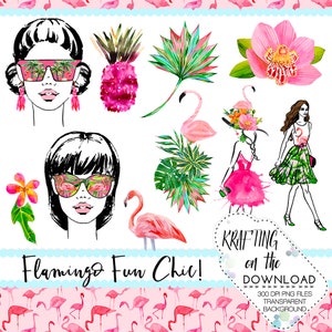 Fenicottero clipart impostare ragazza di pianificatore dell'acquerello acquerello fenicottero clip art png file flamingo acquerello di clipart estate acquerello clip art