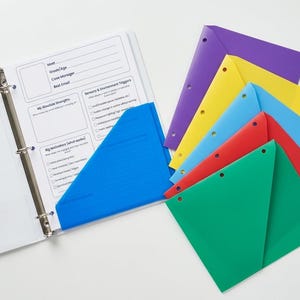 May include: A white three-ring binder containing a printed form with sections for personal information, sensory triggers, and motivators, accompanied by a set of five colorful plastic pocket folders in purple, yellow, blue, red, and green.