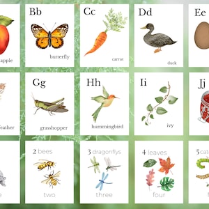 Bundle éducatif nature, préscolaire, cartes flash nature, cartes flash alphabet, cartes ABC, cartes numériques, activité de comptage Montessori