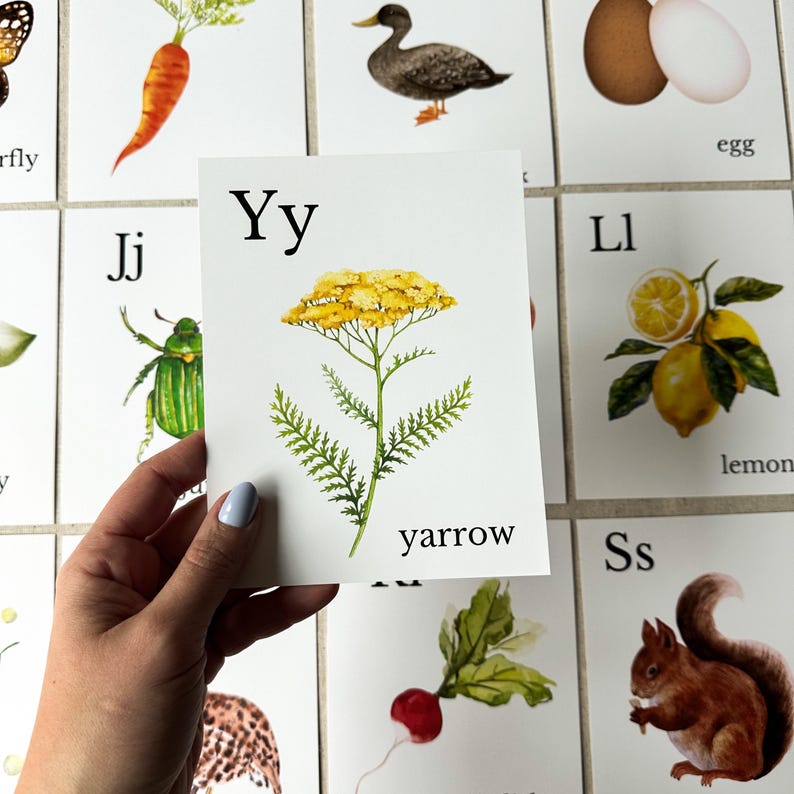 Nature Alphabet Flash Cards Farm Alphabet ABC Flashcards Watercolor Alphabet Nature Flash Cards Nature Study Homeschool Montessori Learning image 13